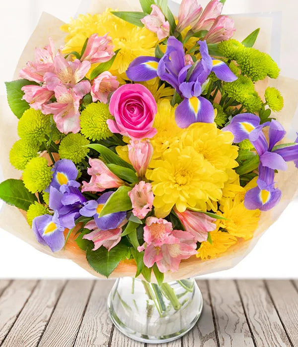 large poinsettia plant