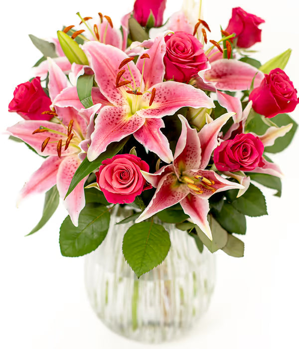 christmas cactus gift