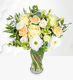 christmas plant arrangements